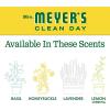imageMRS MEYERS CLEAN DAY Liquid Dish Soap Biodegradable Formula Limited Edition Iowa Pine 16 fl oz16 Ounce Pack of 1