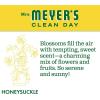 imageMRS MEYERS CLEAN DAY Liquid Dish Soap Biodegradable Formula Limited Edition Iowa Pine 16 fl oz16 Ounce Pack of 1