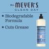 imageMRS MEYERS CLEAN DAY Liquid Dish Soap Biodegradable Formula Limited Edition Iowa Pine 16 fl oz16 Ounce Pack of 1
