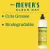 imageMRS MEYERS CLEAN DAY Liquid Dish Soap Biodegradable Formula Limited Edition Iowa Pine 16 fl oz16 Ounce Pack of 1