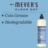 imageMRS MEYERS CLEAN DAY Liquid Dish Soap Biodegradable Formula Limited Edition Iowa Pine 16 fl oz16 Ounce Pack of 6