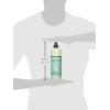 imageMRS MEYERS CLEAN DAY Liquid Dish Soap Biodegradable Formula Limited Edition Iowa Pine 16 fl oz48 Fl Oz Pack of 1