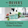 imageMRS MEYERS CLEAN DAY Liquid Dish Soap Biodegradable Formula Limited Edition Iowa Pine 16 fl oz48 Fl Oz Pack of 1
