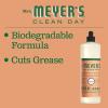 imageMRS MEYERS CLEAN DAY Liquid Dish Soap Biodegradable Formula Limited Edition Iowa Pine 16 fl oz48 Fl Oz Pack of 1