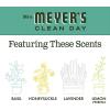 imageMRS MEYERS CLEAN DAY Liquid Dish Soap Biodegradable Formula Limited Edition Iowa Pine 16 fl oz48 Fl Oz Pack of 1