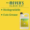 imageMRS MEYERS CLEAN DAY Liquid Dish Soap Biodegradable Formula Limited Edition Iowa Pine 16 fl oz64 Fl Oz Pack of 1