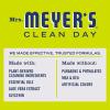 imageMRS MEYERS CLEAN DAY Liquid Dish Soap Biodegradable Formula Limited Edition Iowa Pine 16 fl oz64 Fl Oz Pack of 1