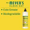 imageMRS MEYERS CLEAN DAY Liquid Dish Soap Biodegradable Formula Limited Edition Iowa Pine 16 fl oz64 Fl Oz Pack of 1