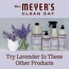 imageMRS MEYERS CLEAN DAY Liquid Dish Soap Biodegradable Formula Limited Edition Iowa Pine 16 fl oz64 Fl Oz Pack of 1
