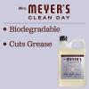imageMRS MEYERS CLEAN DAY Liquid Dish Soap Biodegradable Formula Limited Edition Iowa Pine 16 fl oz64 Fl Oz Pack of 1