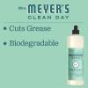 imageMRS MEYERS CLEAN DAY Liquid Dish Soap Biodegradable Formula Limited Edition Iowa Pine 16 fl ozMint