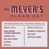 imageMrs MEYERS CLEAN DAY Variety 1 Liquid Hand Soap Snow Drop 125 OZ 1 Liquid Dish Soap Snow Drop 16 OZ 1 CTFall Leaves