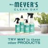 imageMrs MEYERS CLEAN DAY Variety 1 Liquid Hand Soap Snow Drop 125 OZ 1 Liquid Dish Soap Snow Drop 16 OZ 1 CTMint