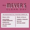 imageMrs MEYERS CLEAN DAY Variety 1 Liquid Hand Soap Snow Drop 125 OZ 1 Liquid Dish Soap Snow Drop 16 OZ 1 CTMum