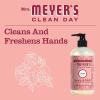 imageMrs MEYERS CLEAN DAY Variety 1 Liquid Hand Soap Snow Drop 125 OZ 1 Liquid Dish Soap Snow Drop 16 OZ 1 CTRose