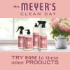 imageMrs MEYERS CLEAN DAY Variety 1 Liquid Hand Soap Snow Drop 125 OZ 1 Liquid Dish Soap Snow Drop 16 OZ 1 CTRose
