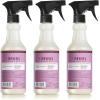 imageMRS MEYERS CLEAN DAY AllPurpose Cleaner Spray Peony 16 fl oz  Pack of 6Peony
