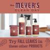 imageMrs MEYERS CLEAN DAY Liquid Hand Soap Fall Leaves Scent 125 fl oz Pack of 3