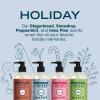 imageMrs MEYERS CLEAN DAY Holiday Hand Soap Set includes Peppermint Iowa Pine Snowdrop Gingerbread